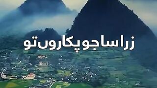 Online earning app 2025 236