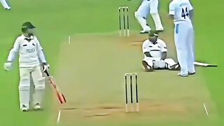 Funny moments in cricket matches