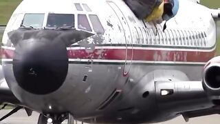 The goat on top of the plane is perfect.