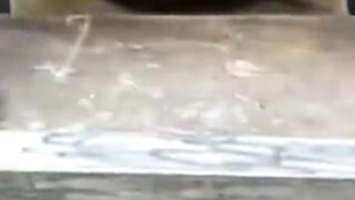 Every Mechanic Should Know