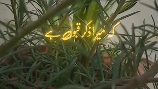 Hamen kaise pata chalegi hamari bad mein Kabul hai