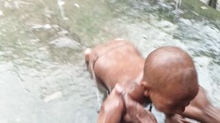 কউট বব