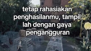 DAFTAR BOSPLAY AGEN SABUNG AYAM RESMI TERBESAR AMAN DAN TERPERCAYA 2