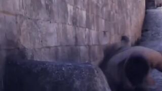 movie clips 5