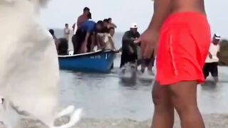 شباب مغاربة يصلون إلى إسبانيا عبر قوارب النجاة هروبا من أجمل بلد في العالم  البلد