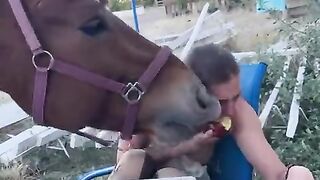 Horse Like Taste her Apples
