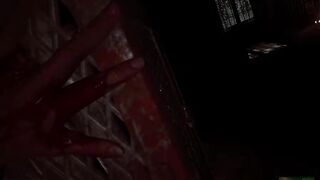 Outlast 1 - Part 11