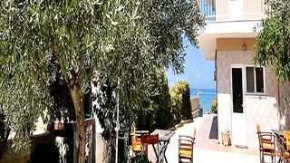 My Greek Villa Had a Gorgeous Olive Tree and Now
