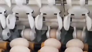 ASMR factory video collection 2