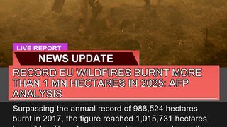 Record EU Wildfires Burnt More Than Mn Hectares