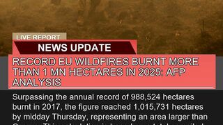 Record EU Wildfires Burnt More Than Mn Hectares 2