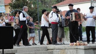 Όλοι οι σπουδαίοι μουσικοί κονσερτίνας είναι ομάδα μουσική πάρτι φολκλόρ.