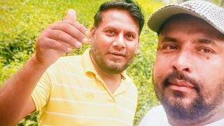 সনদর চ বগন  পরকতক সনদরয ও চযর গলপ