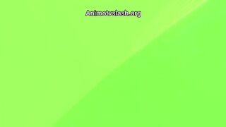 Dandadan 2nd Seasons Episodes 8