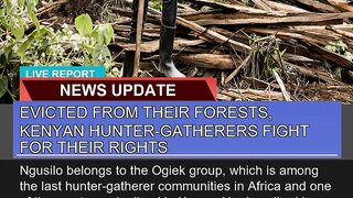 Evicted From Their Forests Kenyan Huntergatherer