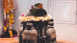 Mahadev Is Everything Video on febspot