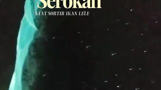 Manfaat Serokan dan Jaring sekat 3 kamar saat sortir ikan lele