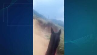 homem que cortou as patas do cavalo em bananal portal