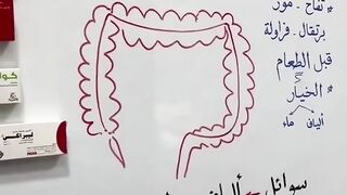 لأجل تقدر تعالج القولون بشكل جيد لازم تفهم القولون
