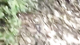 Vlog vlog