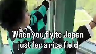 When you fly to Japan just for a rice fieldtanjirokamado