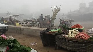 wagitabl market pakistan 2023