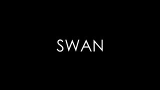 Latte Art - SWAN