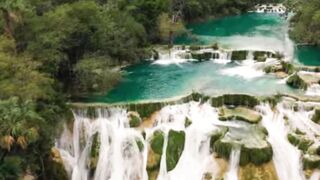 Echoes of Nature  A Musical Journey Through Serenity