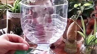How to make beautiful vase from plastic bottles