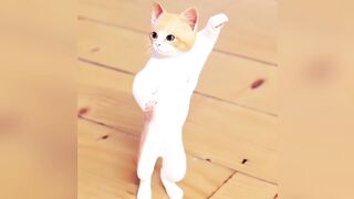 Funny videos 2023