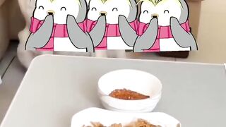Funny cat dog videos????????????
