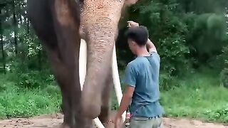 Best funny2023 viral clips