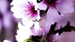 Surah Rehman