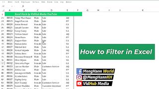 How to Filter in Excel Sheet - How to Create Drop Down Filter in Excel(360P)