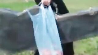 Video 634