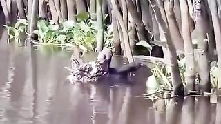 Beautiful Nature 20
