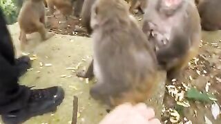 Fun   masti    FunVideo  funnyreels 305
