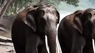 Beautiful Nature 22