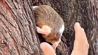 Fun   masti    FunVideo  funnyreels 306