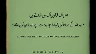 Beshak 24