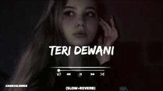 Teri Deewani (s l o w e d and r e v e r b)