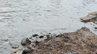 Flood 14
