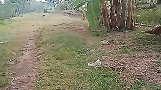 Selamat Pagi Dunia Yang Cerah.