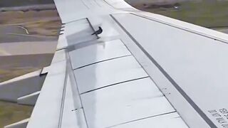 Passenger Shocked Seeing Bird Flying Beside Airplane Wing