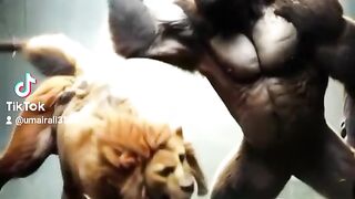 Animal videos 4