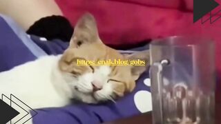 Tidur Pulas? Tapi Denger Kata Makan Langsung Bangun!