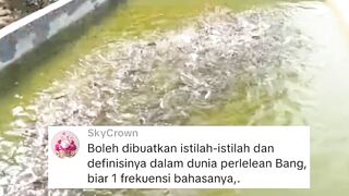 Berikut ini adalah istilah dan penyebutan dalam budidaya ikan lele