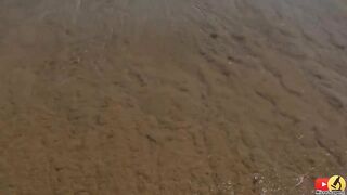 Вы когда-нибудь видели морской песок под микроскопом? Это просто потрясающе!