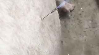 Тимпания-это когда в кишечнике у животных начинают накапливаться газы.