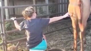 Fun   masti    FunVideo  funnyreels 314